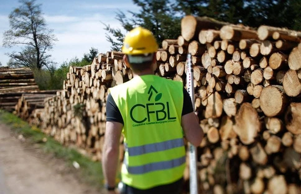 Zertifizierter Waldbau und PEFC Holzernte
