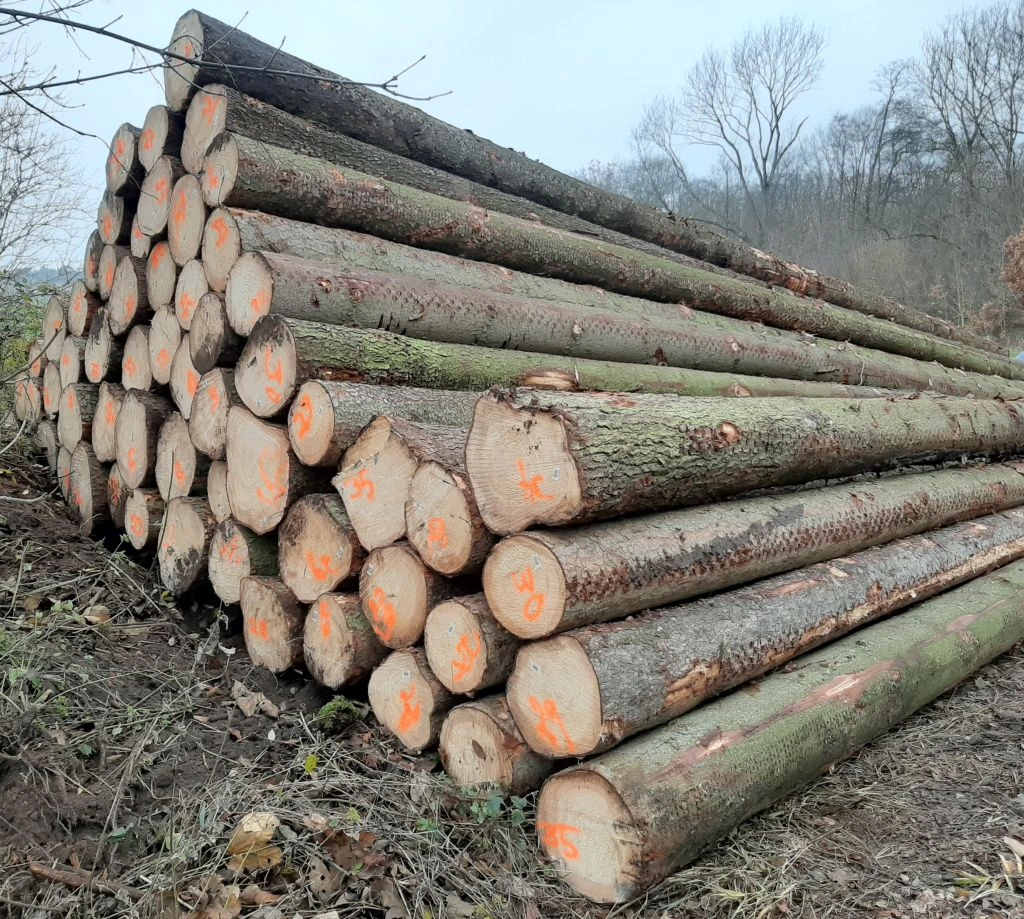 Fichtenstammholz Rundholz LKW