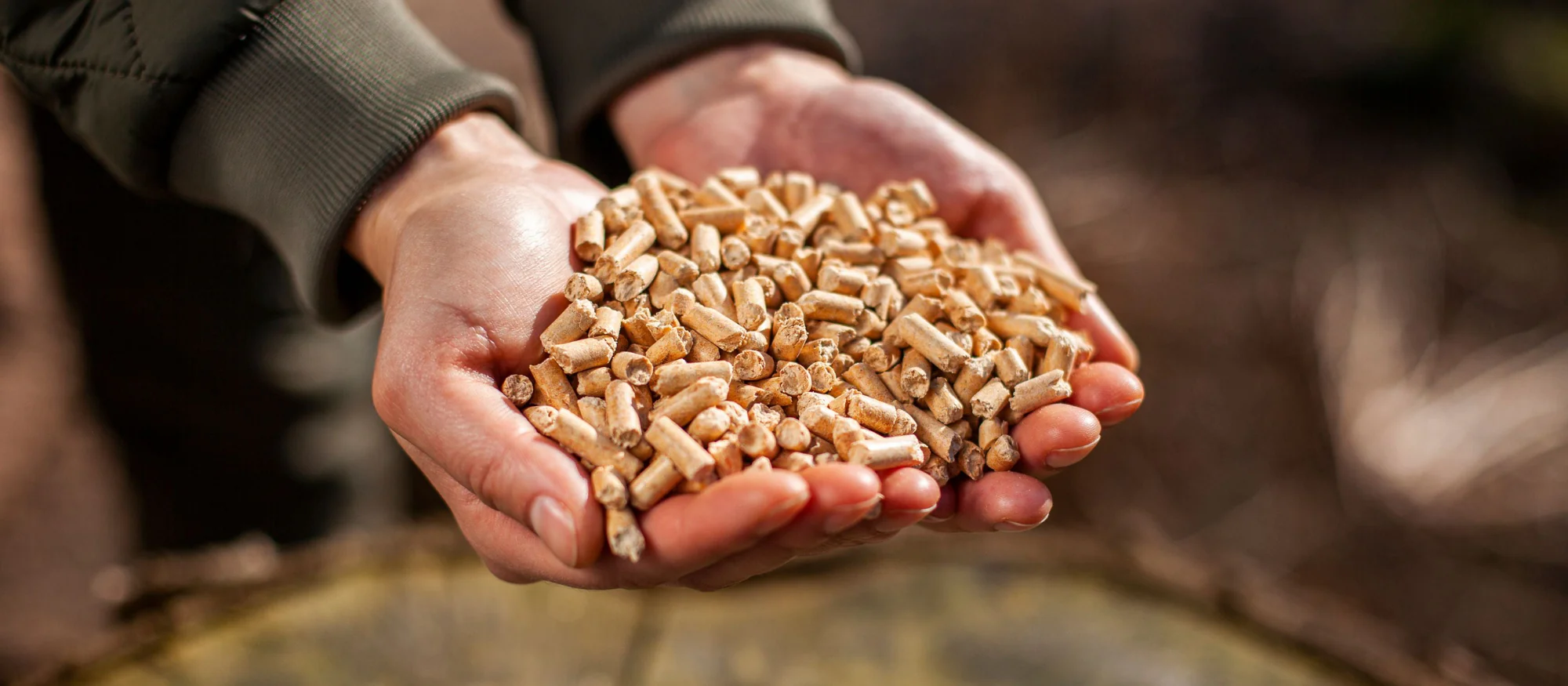 Holzpellets