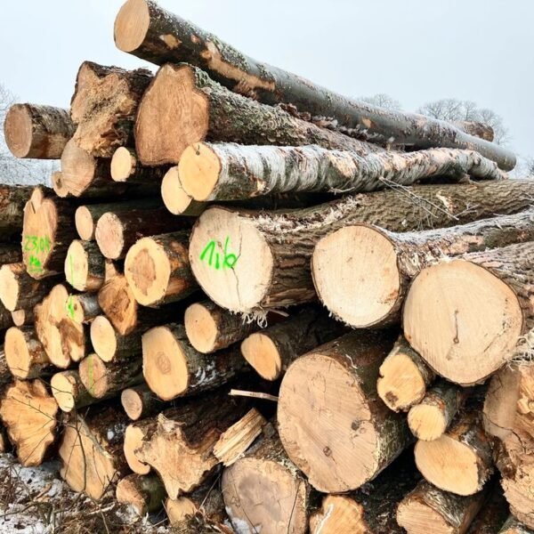 Kiefernstammholz Rundholz LKW