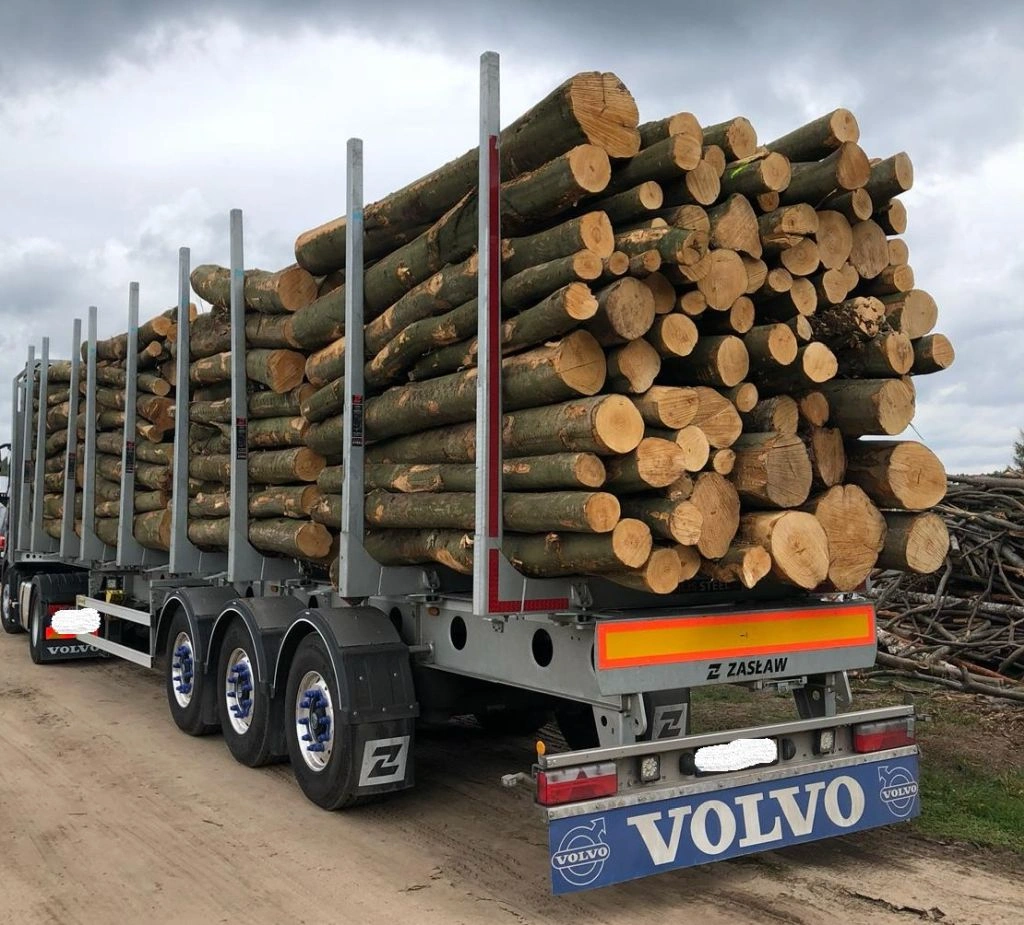 Nadelholz gemischt Rundholz LKW